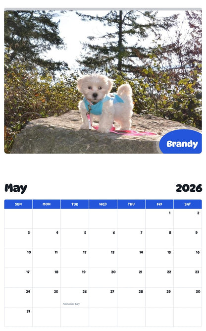 2026 - 2027 Brandy - Pawidols Pet Calendar