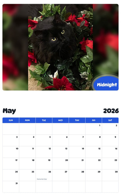 2026 - 2027 Midnight - Pawidols Pet Calendar