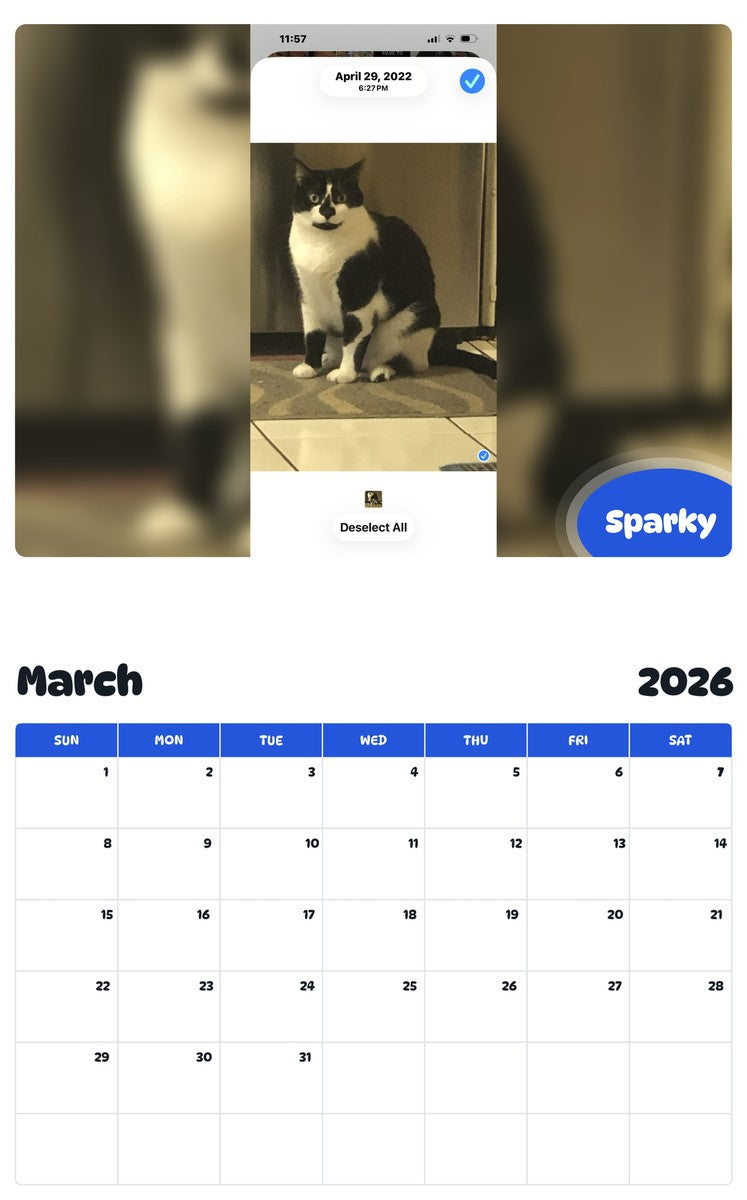 November 2025 - October 2026 Sparky - Pawidols Pet Calendar