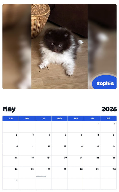2026 - 2027 Sophie - Pawidols Pet Calendar