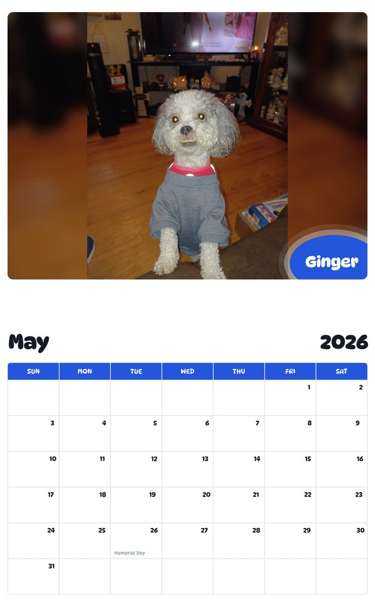 2026 - 2027 Ginger - Pawidols Pet Calendar