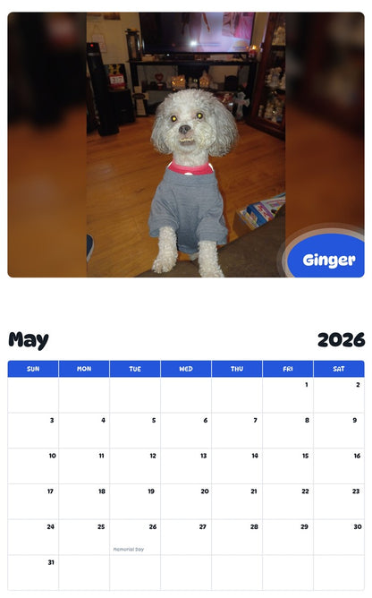 2026 - 2027 Ginger - Pawidols Pet Calendar