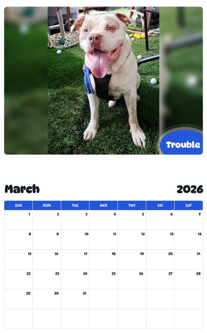 November 2025 - October 2026 Trouble - Pawidols Pet Calendar