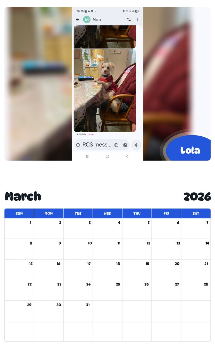 November 2025 - October 2026 Lola - Pawidols Pet Calendar