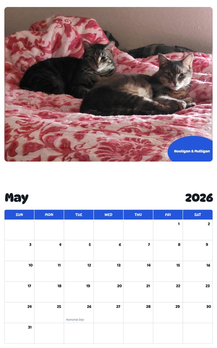 2026 - 2027 Hooligan & Mulligan - Pawidols Pet Calendar