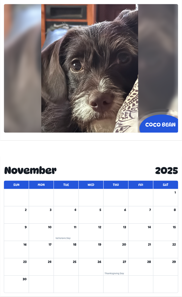 July 2025 - June 2026 COCO BEAN - Pawidols Pet Calendar