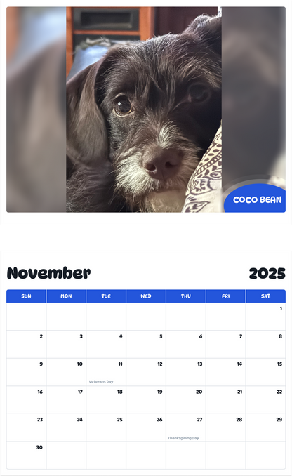 July 2025 - June 2026 COCO BEAN - Pawidols Pet Calendar