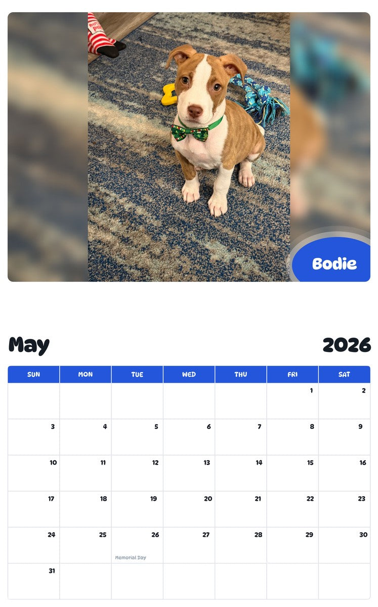 2026 - 2027 Bodie - Pawidols Pet Calendar