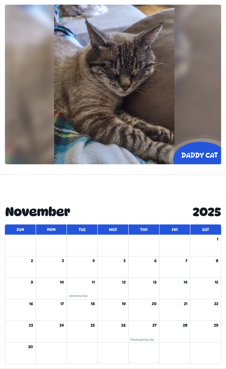 July 2025 - June 2026 Daddy cat - Pawidols Pet Calendar