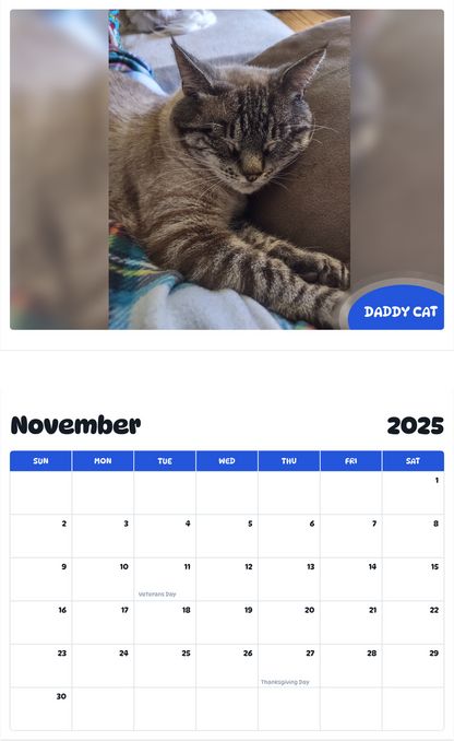 July 2025 - June 2026 Daddy cat - Pawidols Pet Calendar