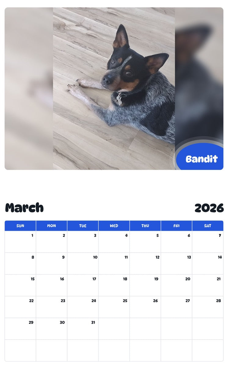 November 2025 - October 2026 Bandit - Pawidols Pet Calendar