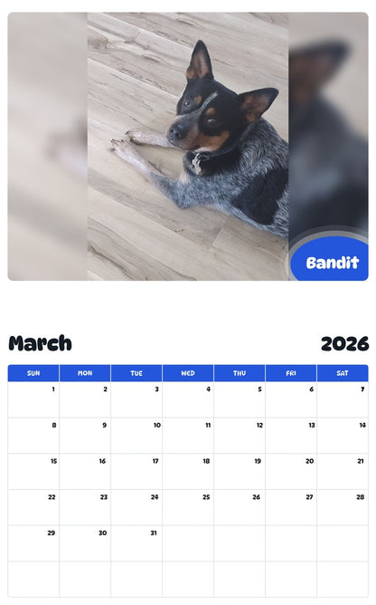 November 2025 - October 2026 Bandit - Pawidols Pet Calendar