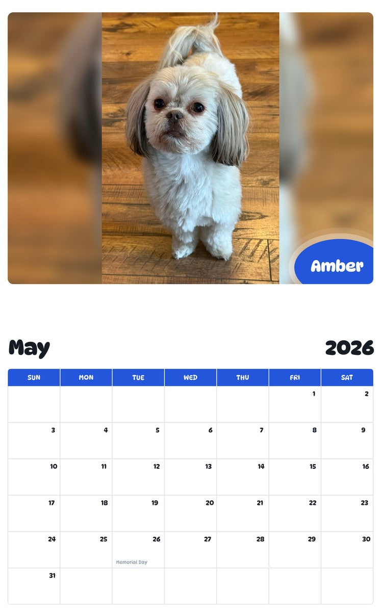 2026 - 2027 Amber - Pawidols Pet Calendar