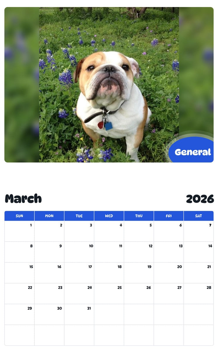November 2025 - October 2026 General - Pawidols Pet Calendar