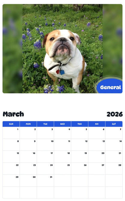 November 2025 - October 2026 General - Pawidols Pet Calendar