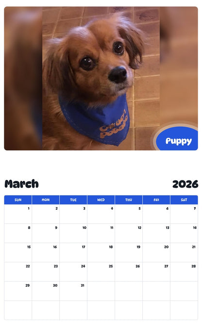 November 2025 - October 2026 Puppy - Pawidols Pet Calendar