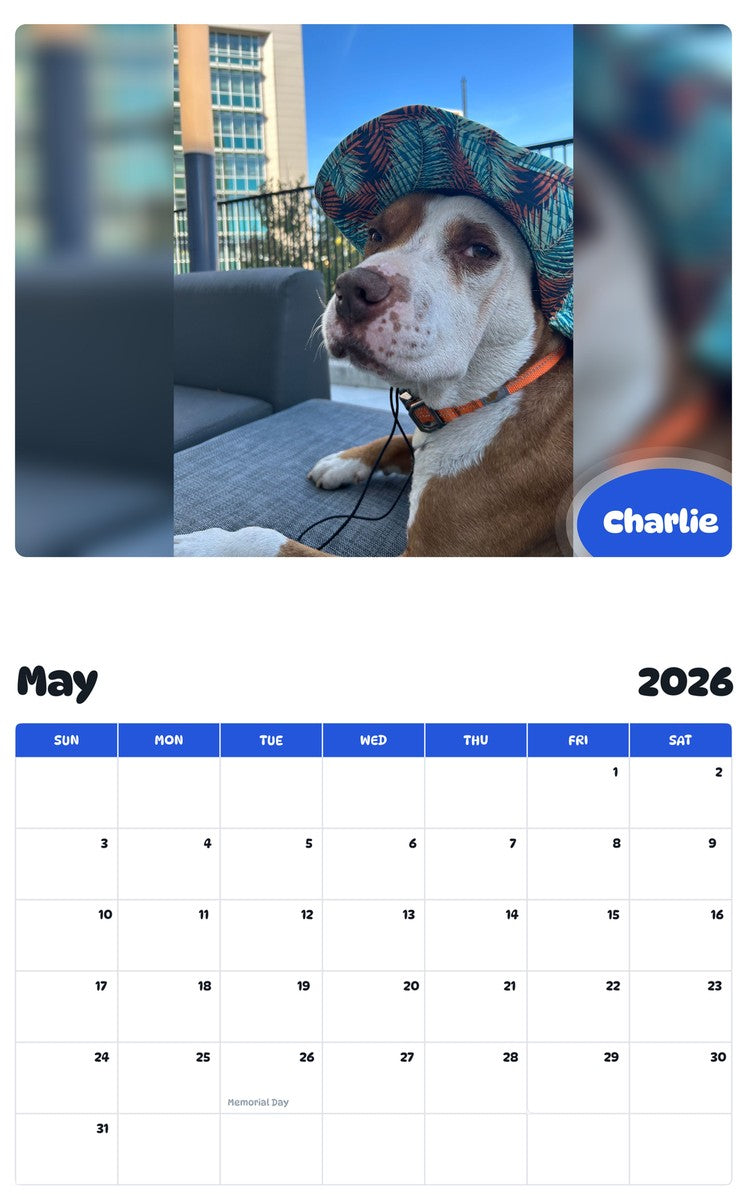 2026 - 2027 Charlie - Pawidols Pet Calendar