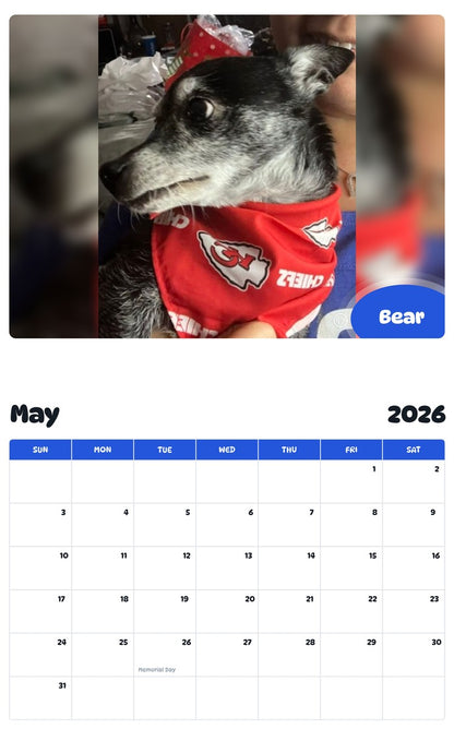 2026 - 2027 Bear - Pawidols Pet Calendar