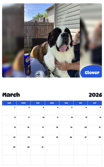 November 2025 - October 2026 Clover - Pawidols Pet Calendar