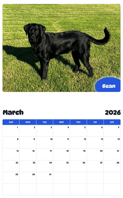 November 2025 - October 2026 Bean - Pawidols Pet Calendar
