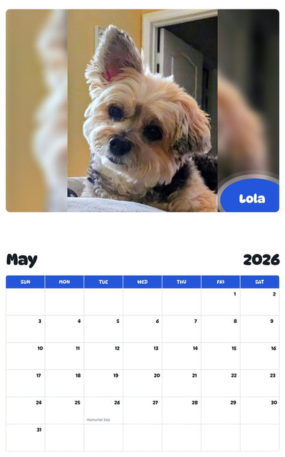 2026 - 2027 Lola - Pawidols Pet Calendar