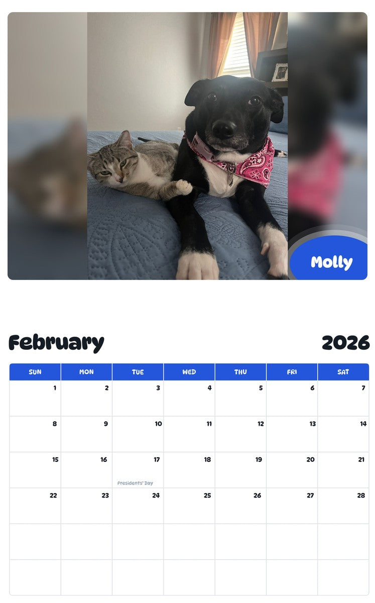 November 2025 - October 2026 Molly - Pawidols Pet Calendar