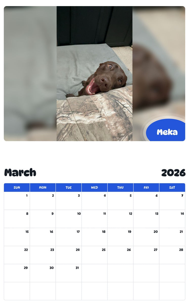 November 2025 - October 2026 Meka - Pawidols Pet Calendar