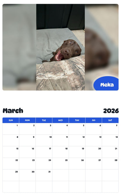 November 2025 - October 2026 Meka - Pawidols Pet Calendar
