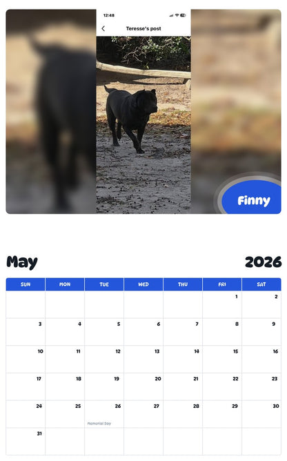 2026 - 2027 Finny - Pawidols Pet Calendar
