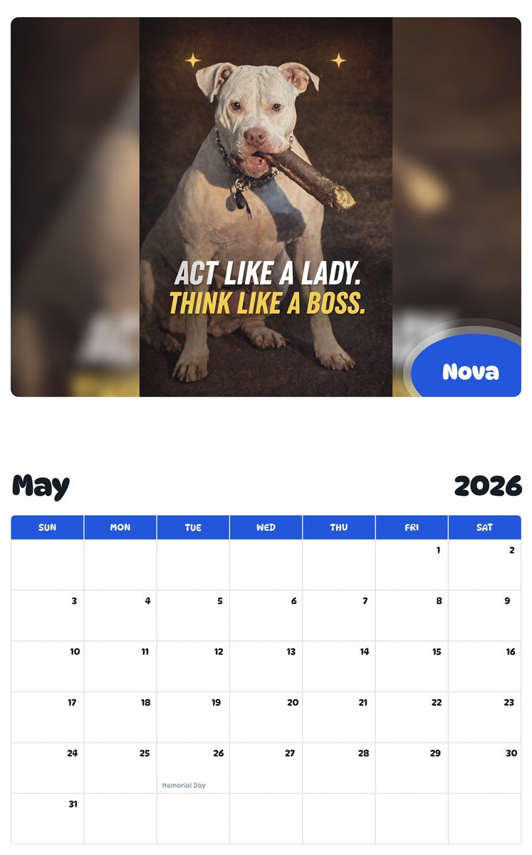 2026 - 2027 Nova - Pawidols Pet Calendar