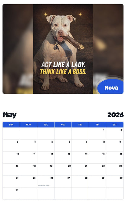 2026 - 2027 Nova - Pawidols Pet Calendar