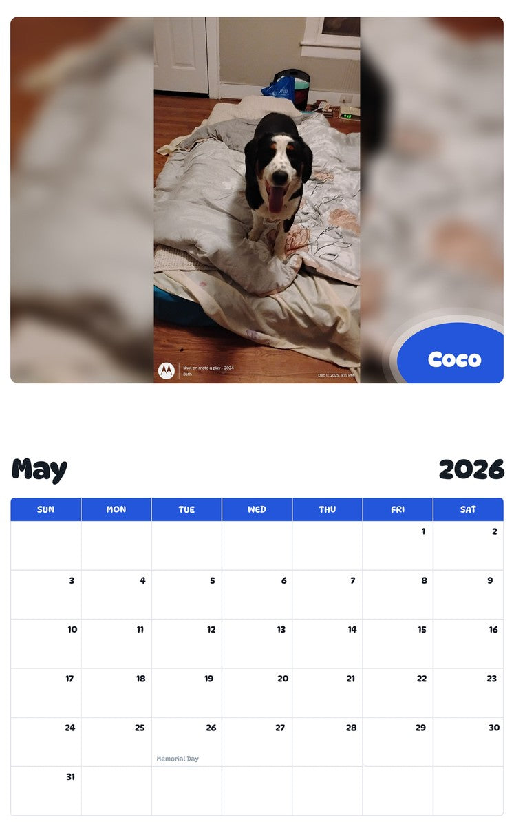 2026 - 2027 Coco - Pawidols Pet Calendar