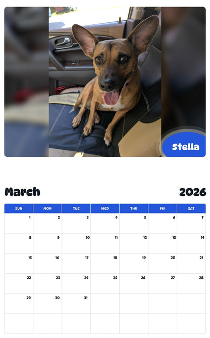 November 2025 - October 2026 Stella - Pawidols Pet Calendar
