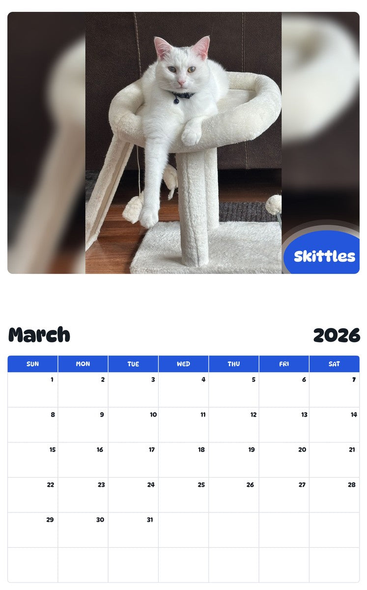 November 2025 - October 2026 Skittles - Pawidols Pet Calendar