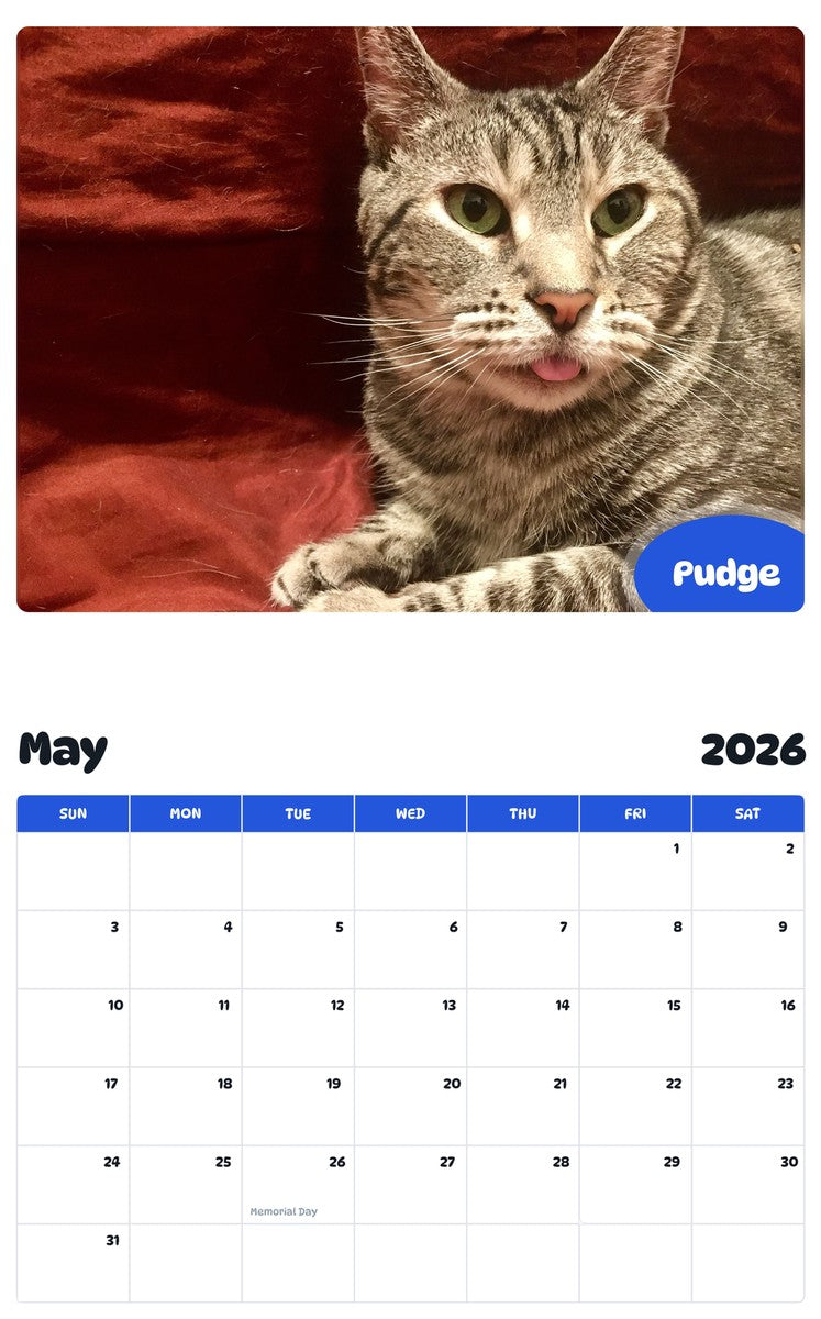 2026 - 2027 Pudge - Pawidols Pet Calendar