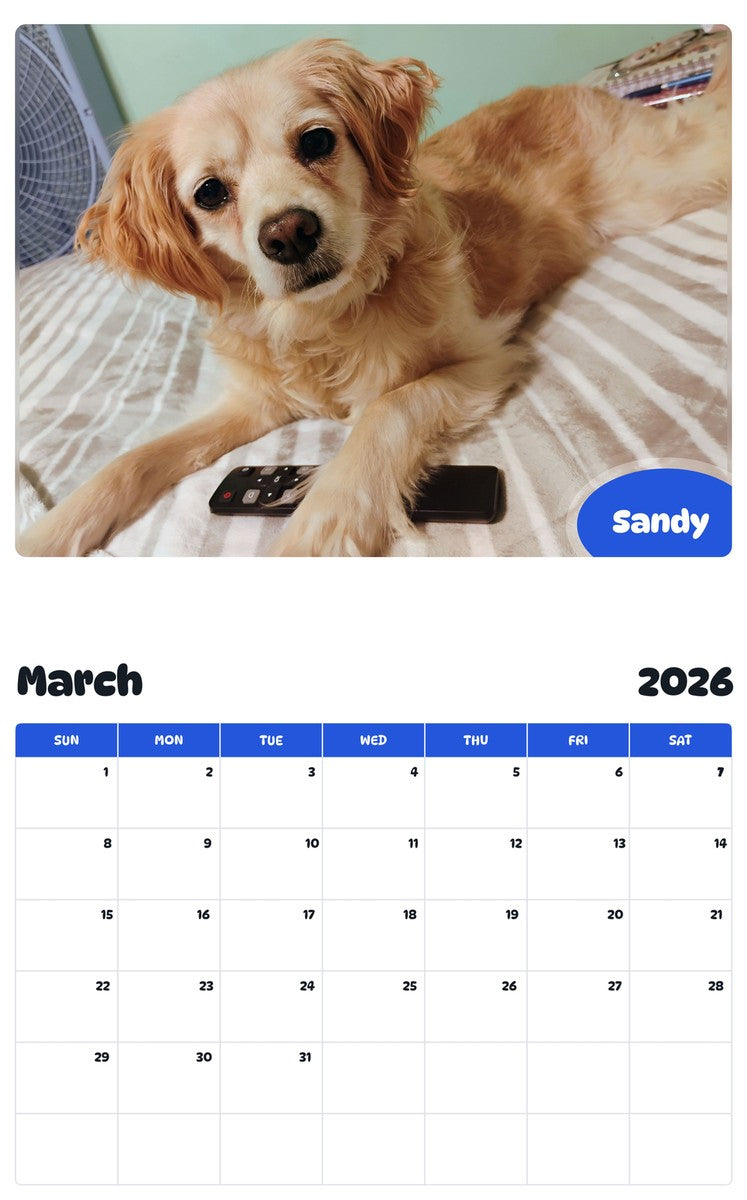 November 2025 - October 2026 Sandy - Pawidols Pet Calendar