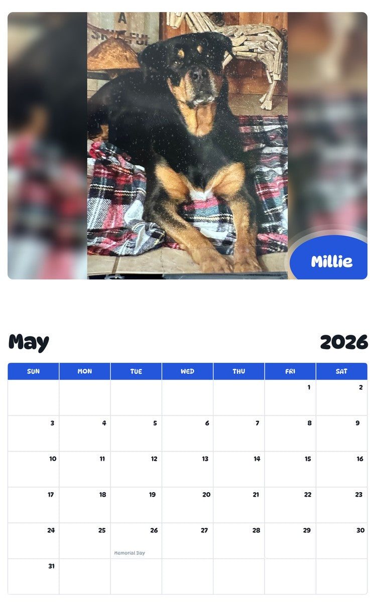 2026 - 2027 Millie - Pawidols Pet Calendar