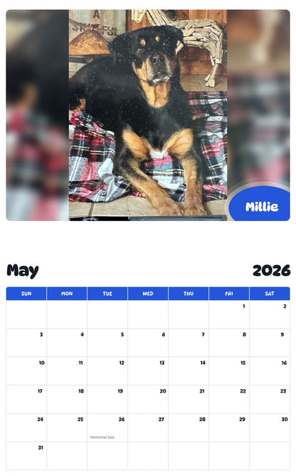 2026 - 2027 Millie - Pawidols Pet Calendar