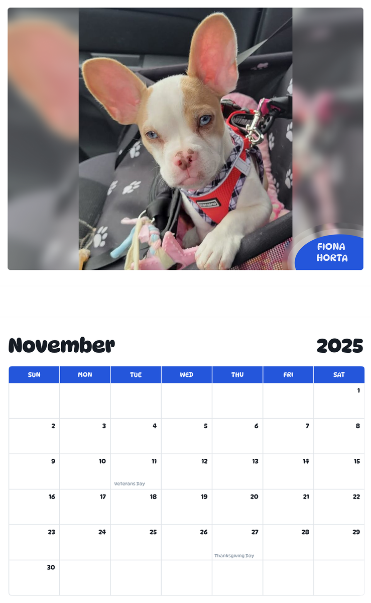July 2025 - June 2026 FIONA HORTA - Pawidols Pet Calendar