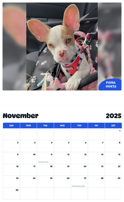 July 2025 - June 2026 FIONA HORTA - Pawidols Pet Calendar