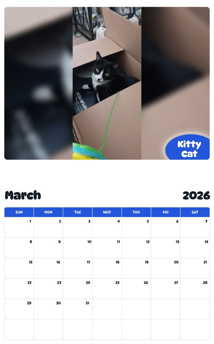 November 2025 - October 2026 Kitty Cat - Pawidols Pet Calendar