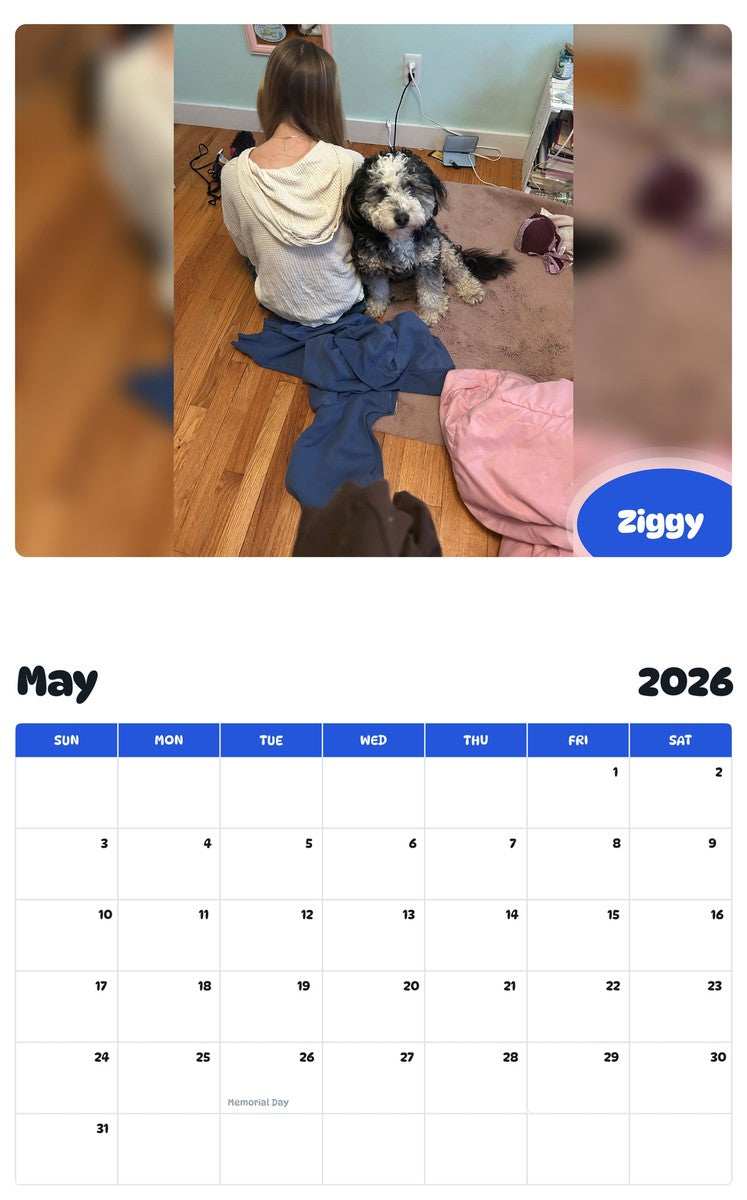 2026 - 2027 Ziggy - Pawidols Pet Calendar
