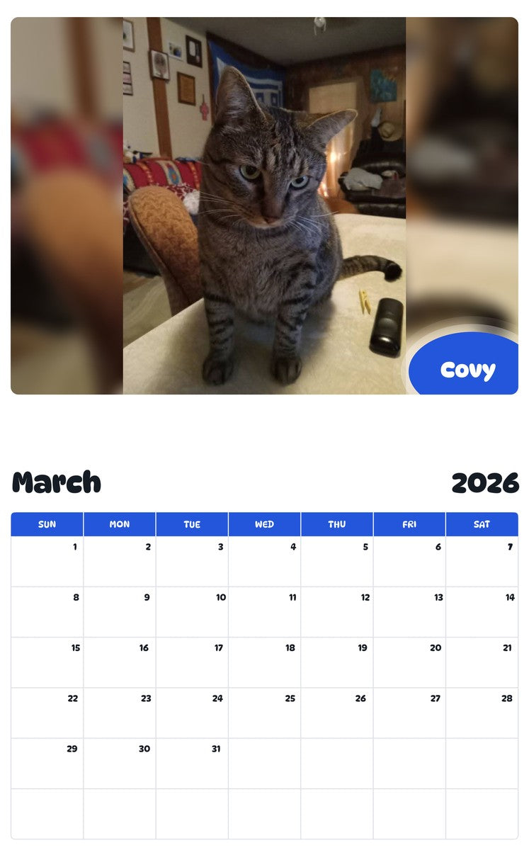 November 2025 - October 2026 Covy - Pawidols Pet Calendar