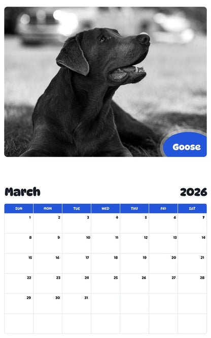 November 2025 - October 2026 Goose - Pawidols Pet Calendar