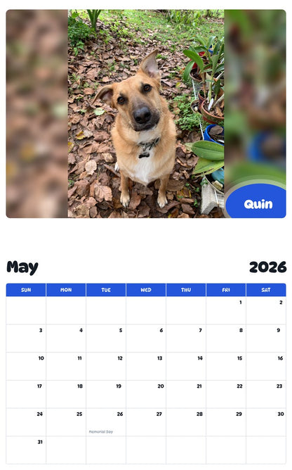 2026 - 2027 Quin - Pawidols Pet Calendar