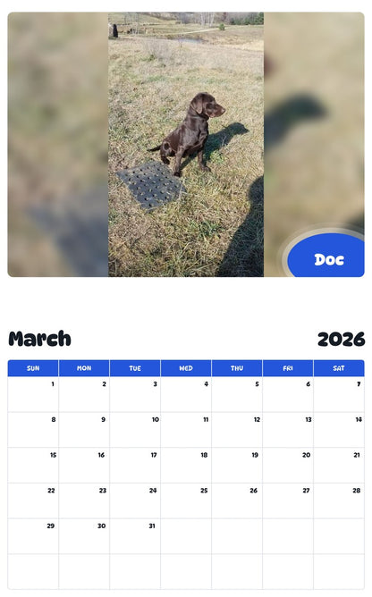 November 2025 - October 2026 Doc - Pawidols Pet Calendar