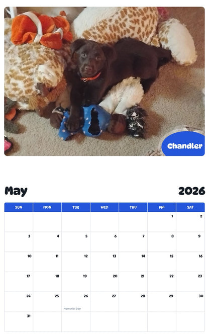 2026 - 2027 Chandler - Pawidols Pet Calendar