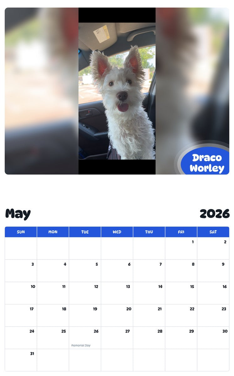 2026 - 2027 Draco Worley - Pawidols Pet Calendar