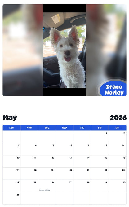 2026 - 2027 Draco Worley - Pawidols Pet Calendar