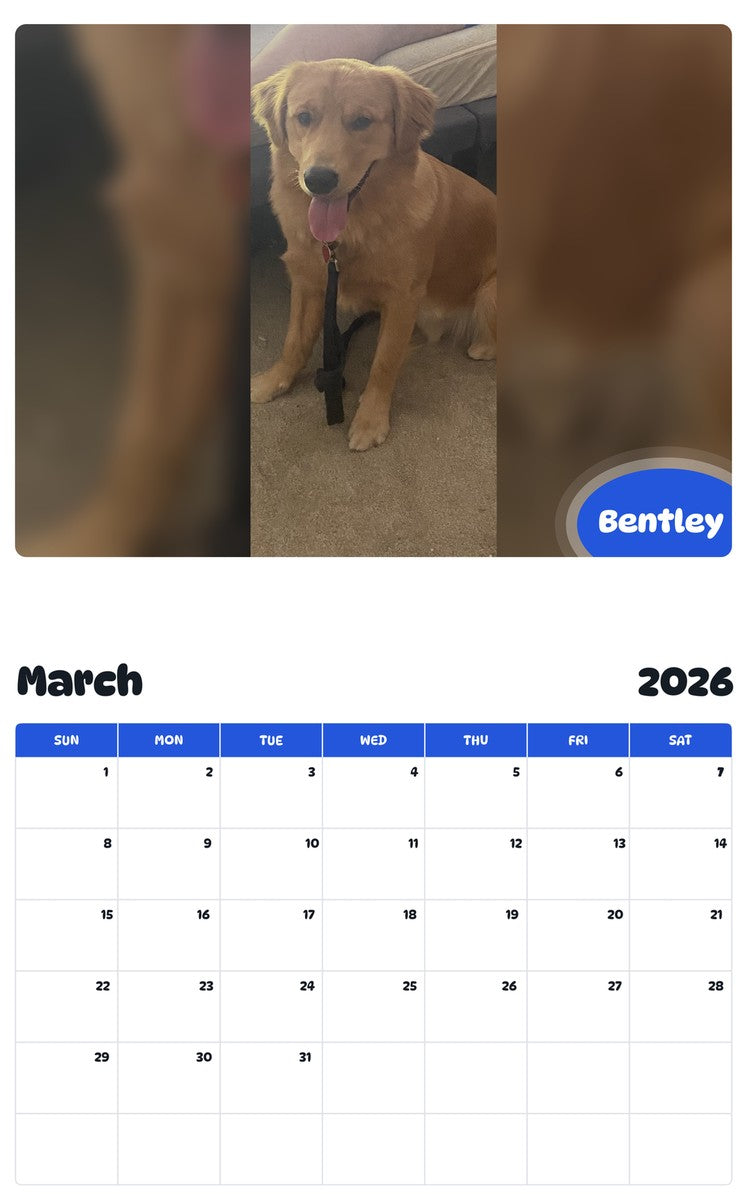 November 2025 - October 2026 Bentley - Pawidols Pet Calendar